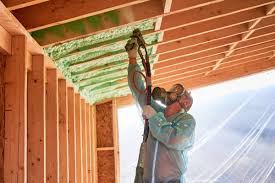 Best Soundproof Insulation  in Princeton, IL